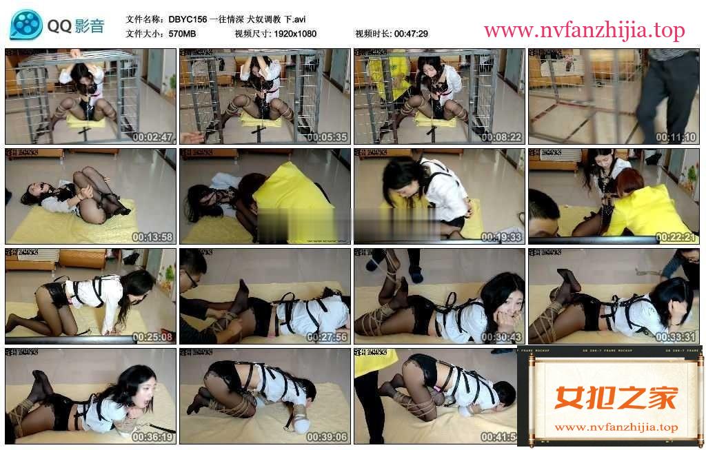 犬奴调教 下 折磨调教